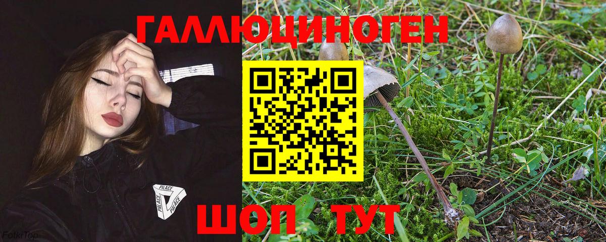 Псилоцибиновые грибы ЛСД Торжок
