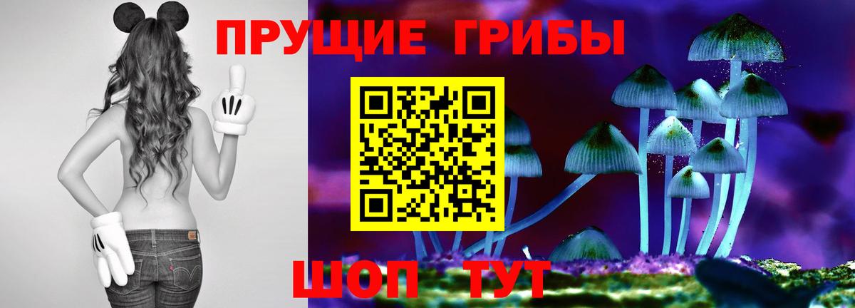 Торжок  Галлюциногенные грибы Magic Shrooms  Вход с VPN 
